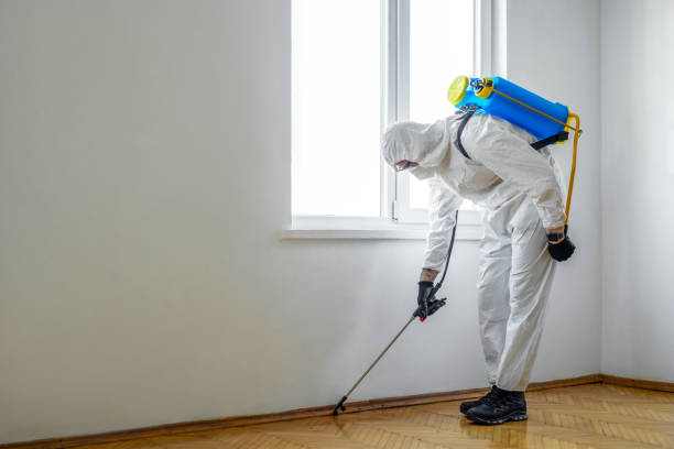 Best Pest Prevention Services  in Clarksville, TX