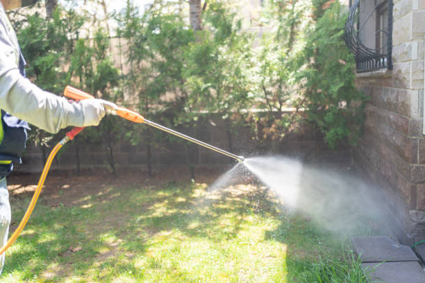 Best Mosquito Control Services  in Clarksville, TX